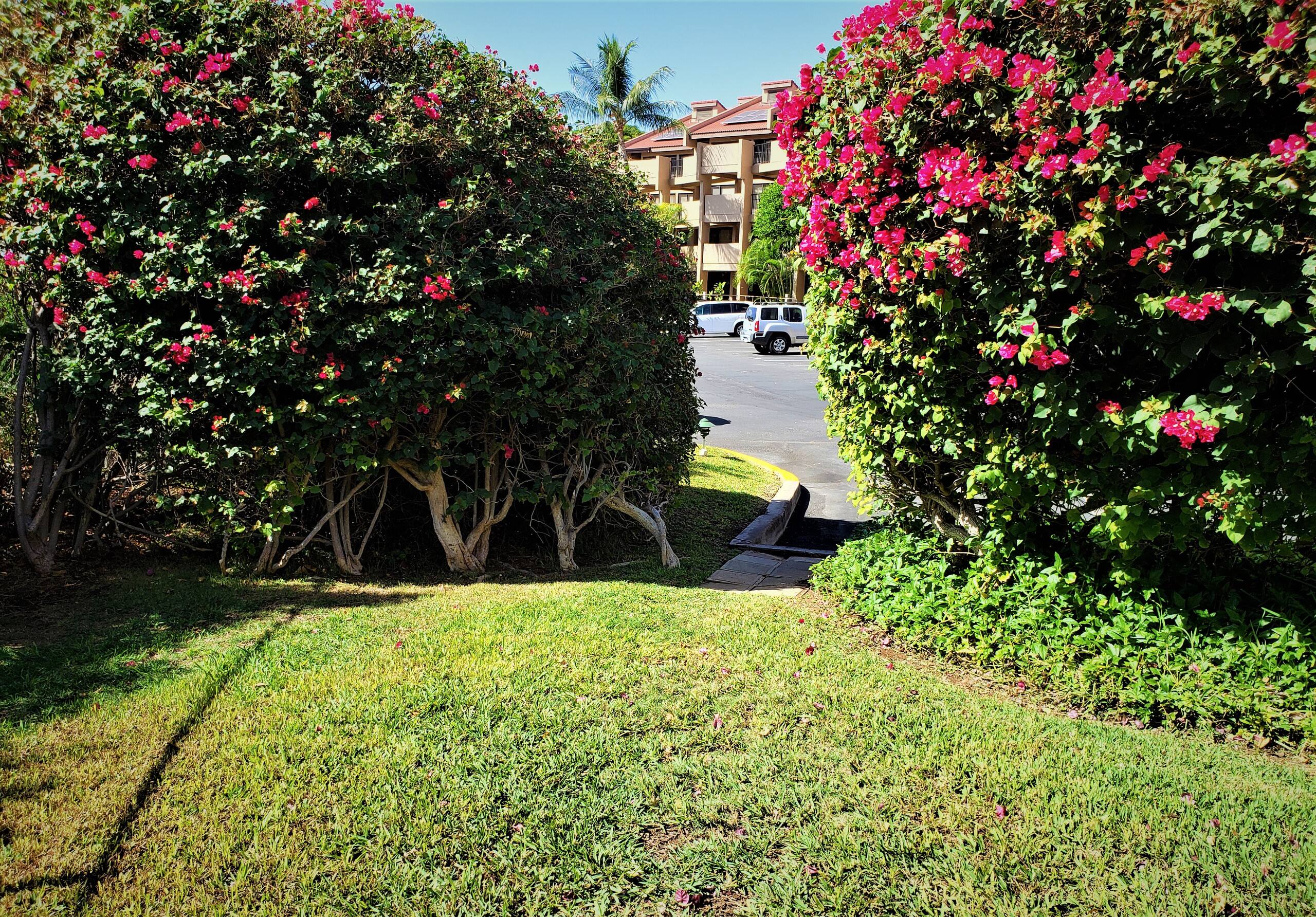 Condo in Kihei · ★4.79 · 3 bedrooms · 5 beds · 2 shared baths - Image 23