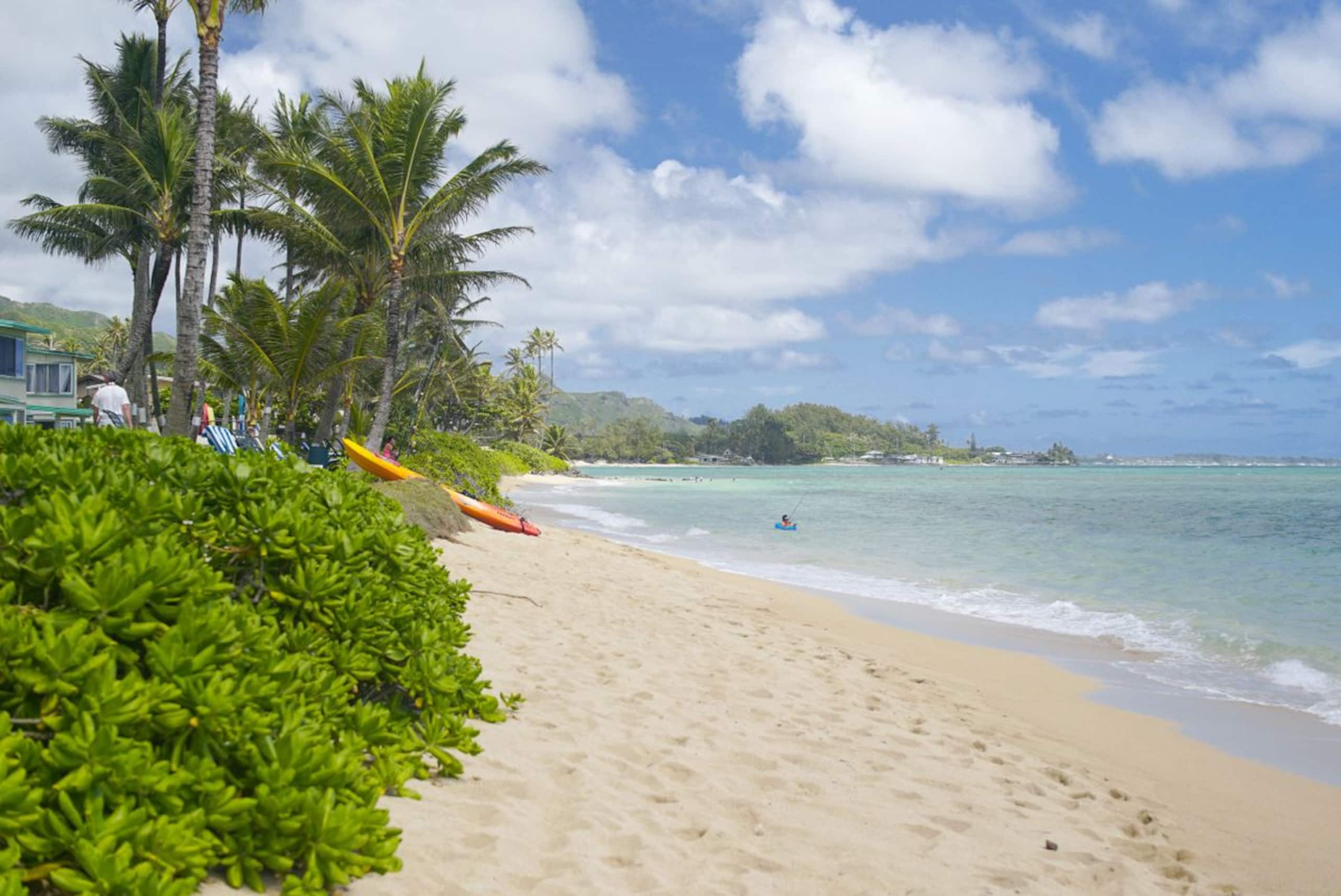 Condo in Hauula · ★4.75 · 1 bedroom · 2 beds · 1 private bath - Image 55