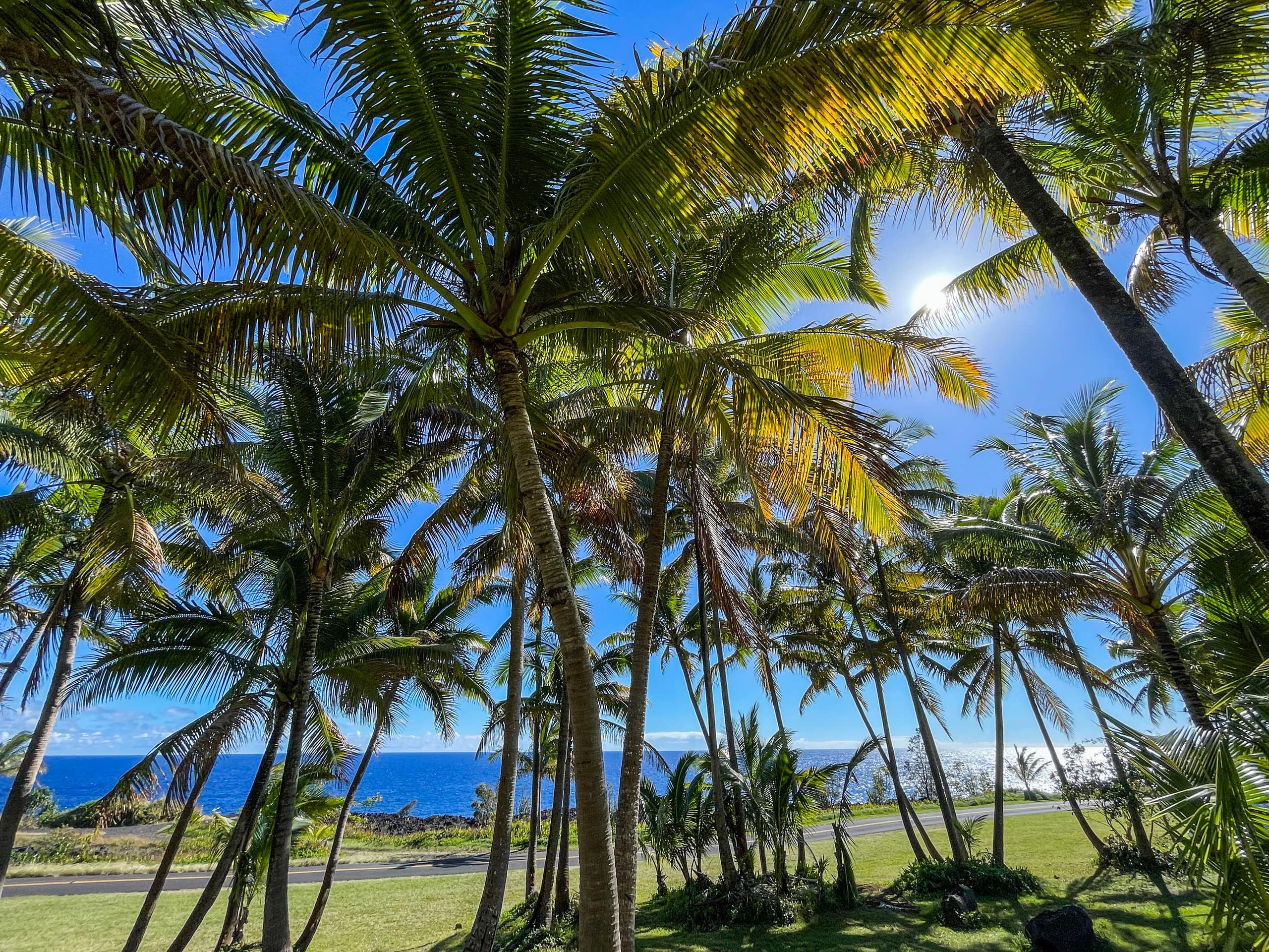 Home in Pahoa · ★4.82 · Studio · 1 bed · 1 private bath - Image 17