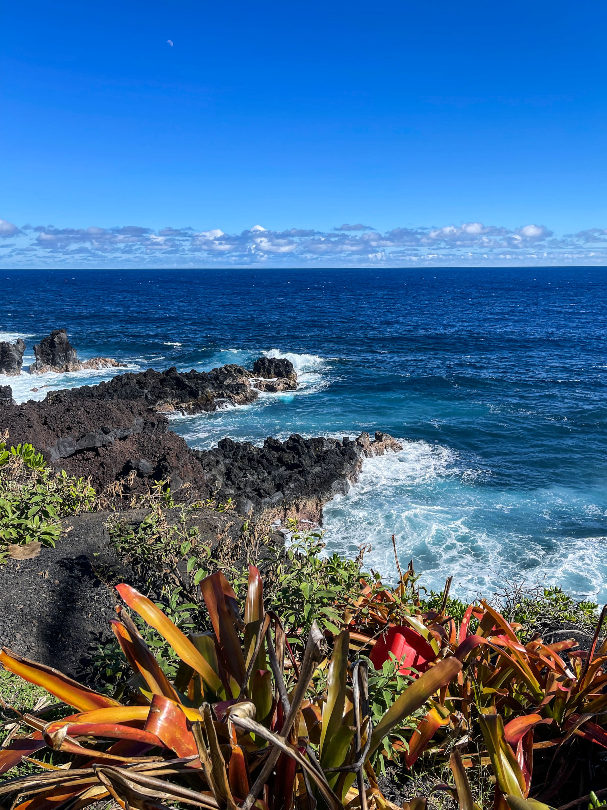 Home in Pahoa · ★4.82 · Studio · 1 bed · 1 private bath - Image 18