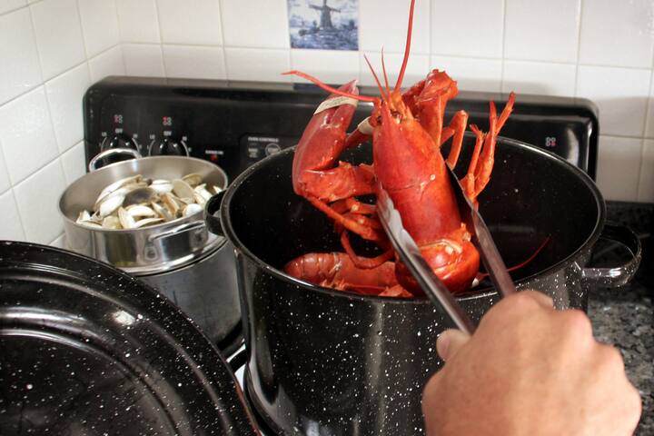 Easton’s Point walk to beaches! gallery image 5