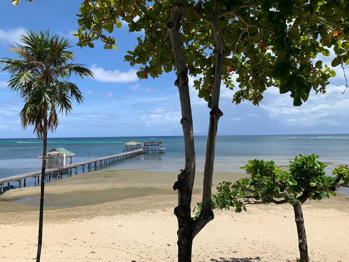 A serene beach view features a wooden dock extending into the clear blue water. Lush palm trees frame the scene, while the sandy shore leads to shallow waters. Gentle waves lap against the beach, under a partly cloudy sky that enhances the tranquil atmosphere.