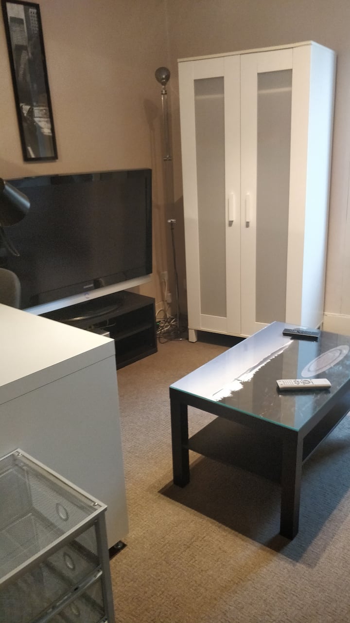T1 Bis 35m2 Meublé Hyper Centre Thiers - Thiers