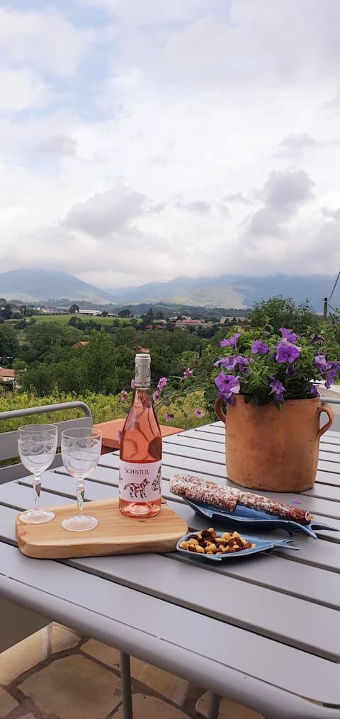 Small house "Amidst the vines"