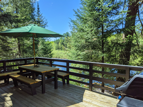Top Airbnb: Modern Riverside Cottage on edge of Algonquin in Algonquin Highlands