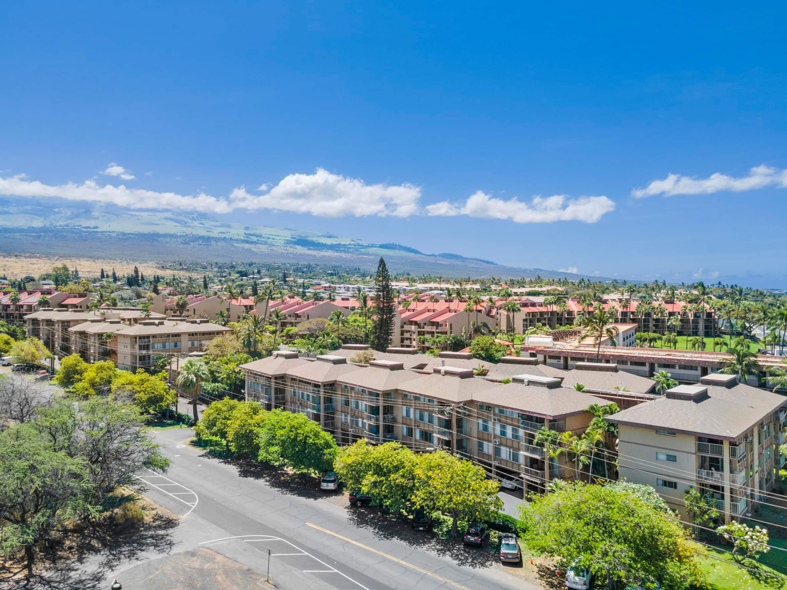 Condo in Kihei · ★4.93 · 2 bedrooms · 4 beds · 2 baths - Image 28