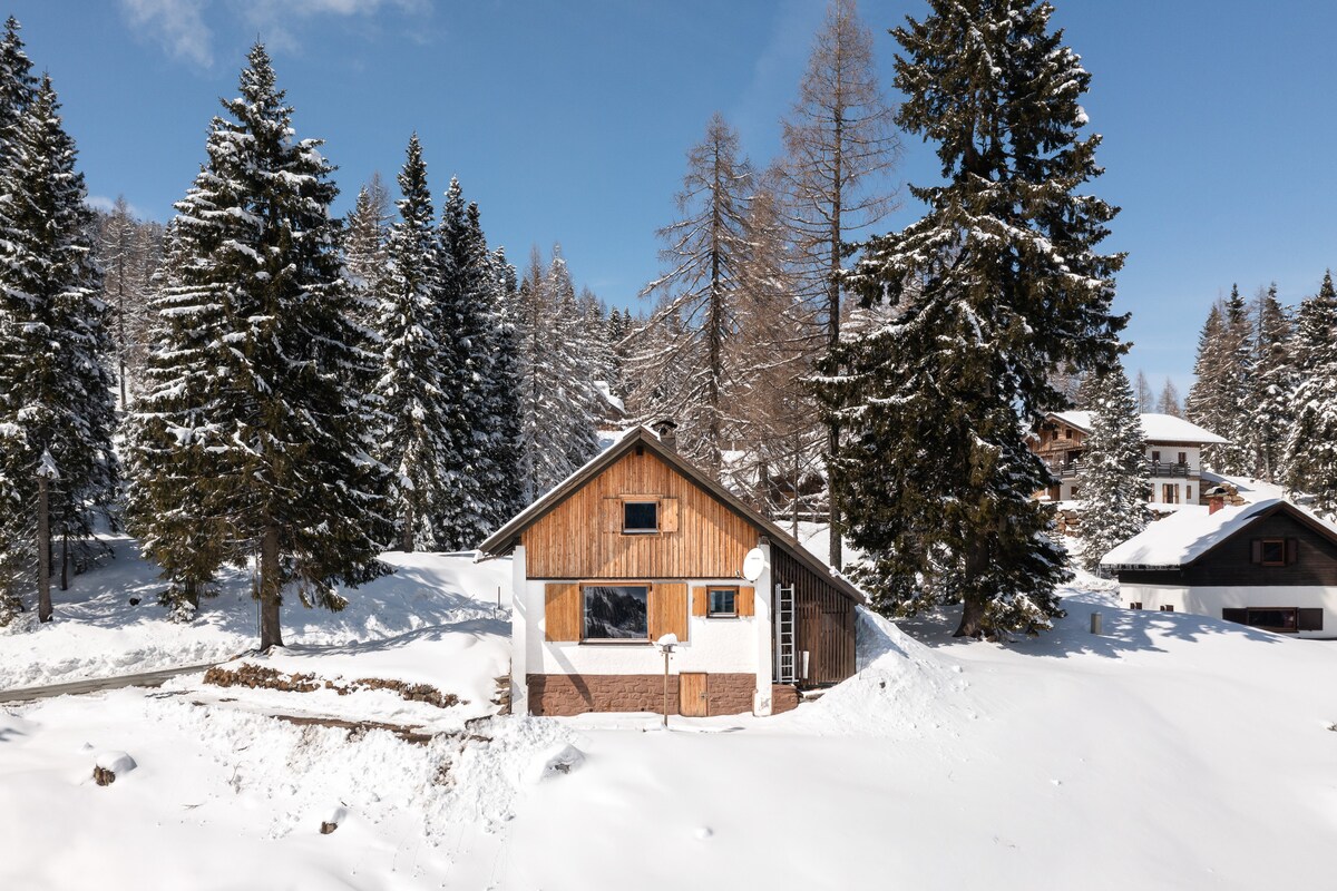 The exterior of a cozy mountain cabin is surrounded by snow-covered trees, with a clear blue sky above. The cabin features wooden accents and a welcoming entryway, highlighting its alpine setting amidst a tranquil winter landscape.