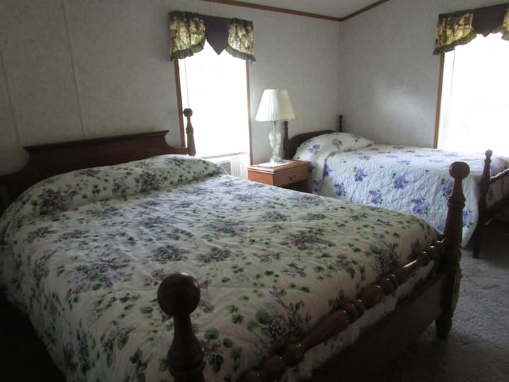 Queen Bed and extra twin bed