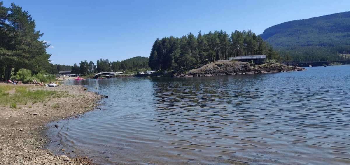 A serene lakeside scene is depicted, with gentle ripples reflecting the clear blue sky. Lush green trees line the shore, and a small rocky island is visible in the distance. Sunbathers enjoy the sandy beach on the left, contributing to a tranquil outdoor atmosphere.