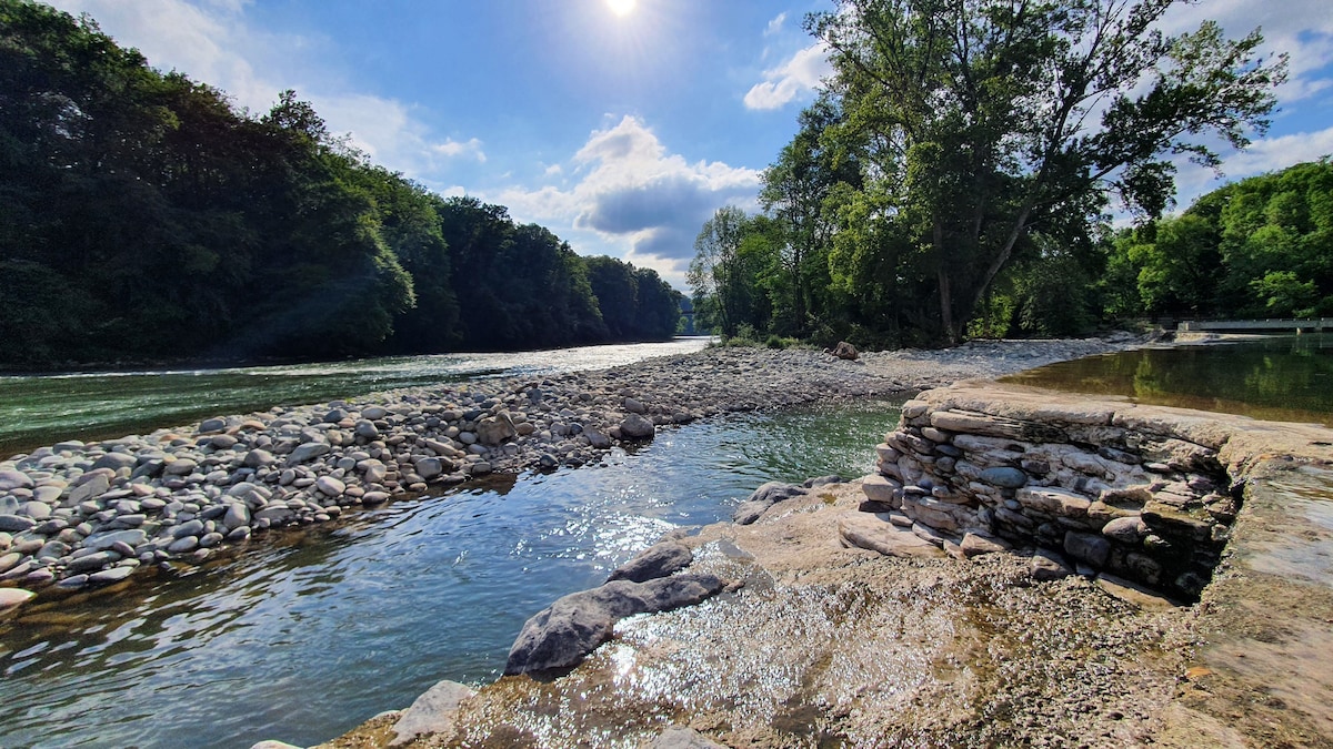 A serene river landscape is depicted, featuring smooth, rounded stones along the water's edge. Lush greenery borders the riverbanks, with trees providing shade. The sky is bright, showcasing fluffy clouds and sunlight reflecting on the water's surface, creating a tranquil atmosphere.