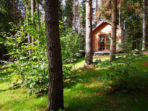 Cozy cabin in the forest near the lake Kertuoja