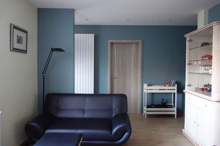 "Le Nid Près Du Ruisseau"- Bel Appartement De 62m² - Erstein