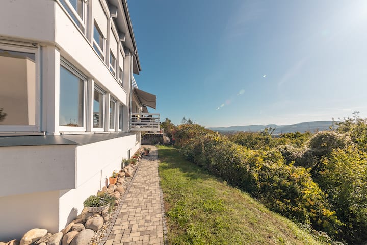 Design Apartment Vitibuck in Bestlage von Tiengen
