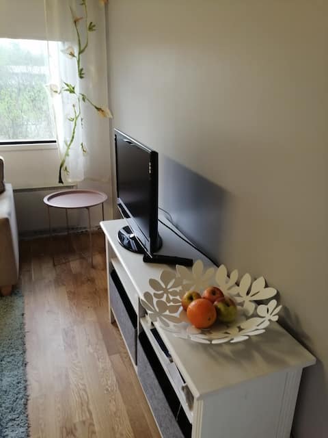 Beautiful 2021 renovated studio