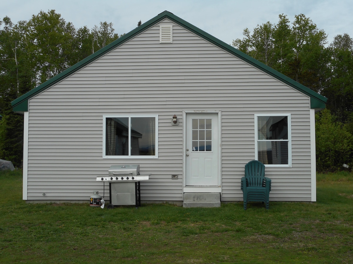 The exterior of a cabin is shown, featuring a light grey facade and a green roof. A white door with a window is centered, flanked by large windows on either side. A grill is positioned on one side, and a single green Adirondack chair sits nearby on the grassy lawn.
