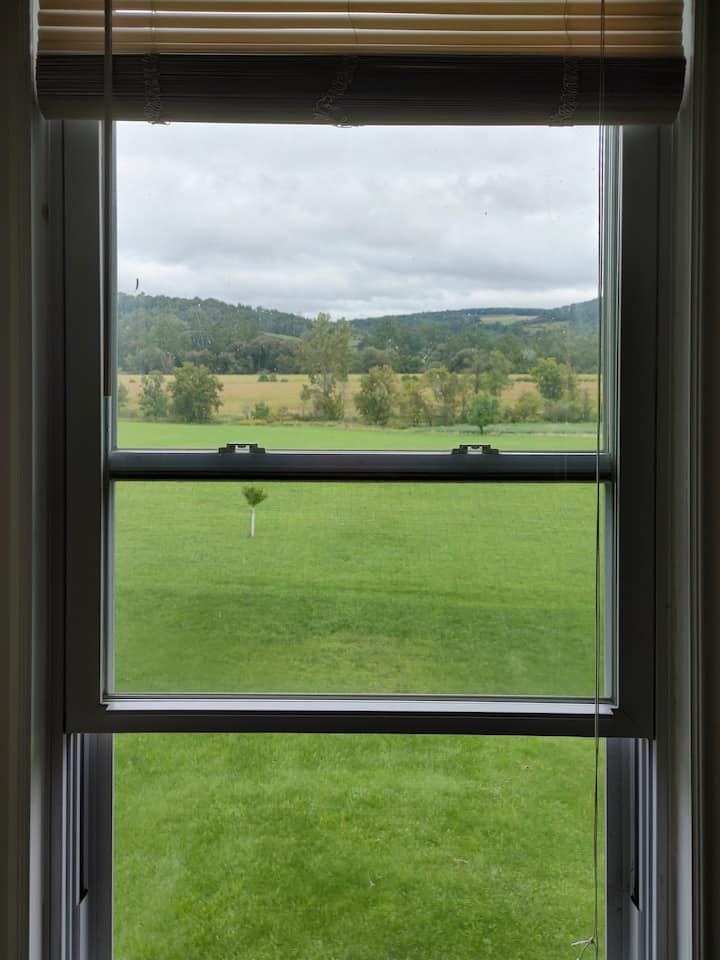 Best view in Room 4