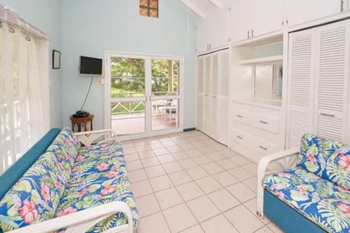 Pomeroy Apartment - Beautiful Views - Saint Kitts and Nevis