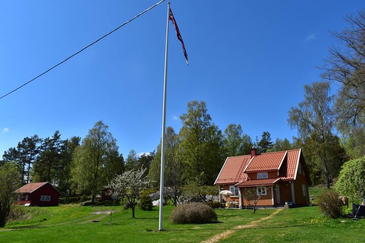 spydeberg single