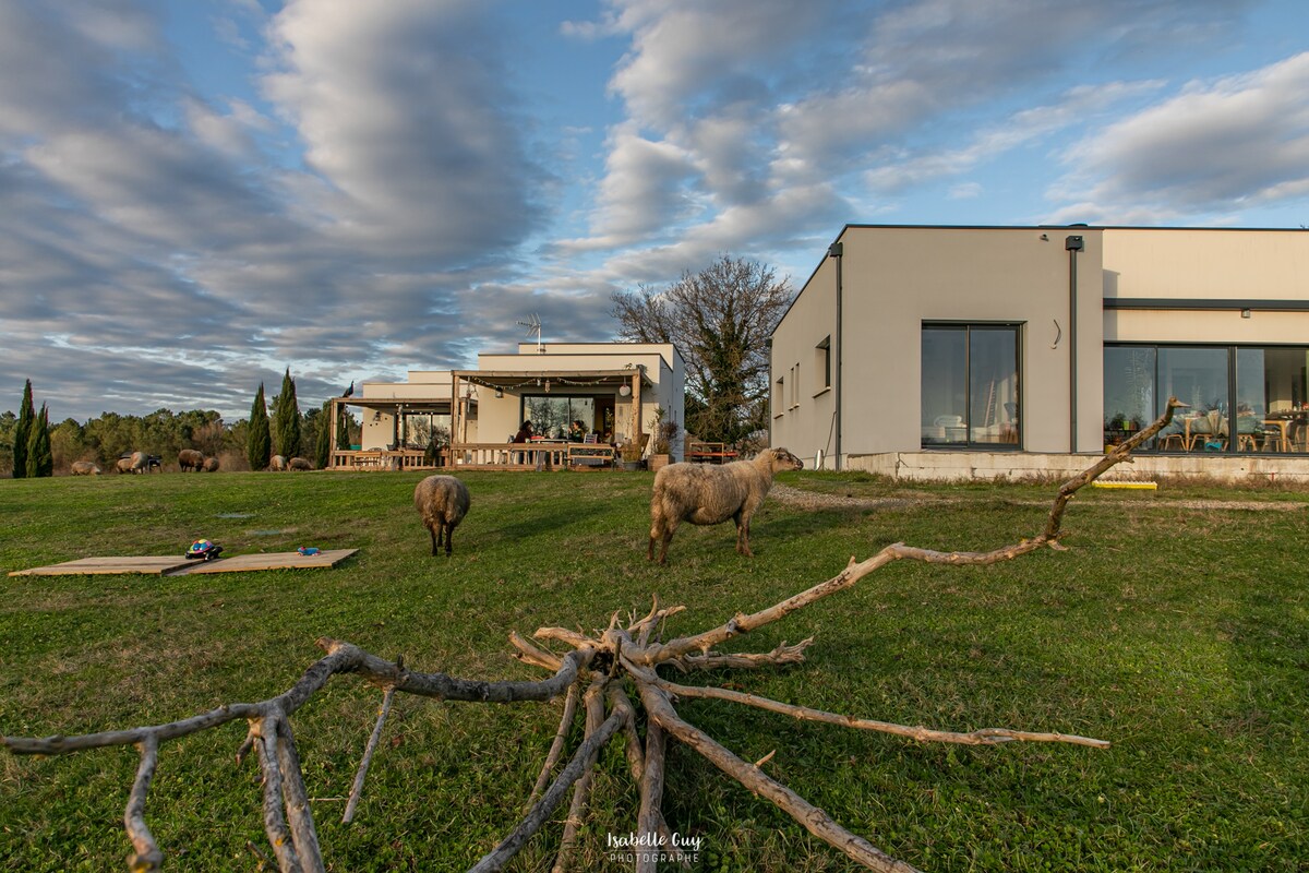 A modern lodge is positioned on a grassy area, surrounded by livestock grazing peacefully. Large windows allow natural light to illuminate the interior spaces. A fallen branch lies on the ground, adding an organic element to the serene outdoor landscape.