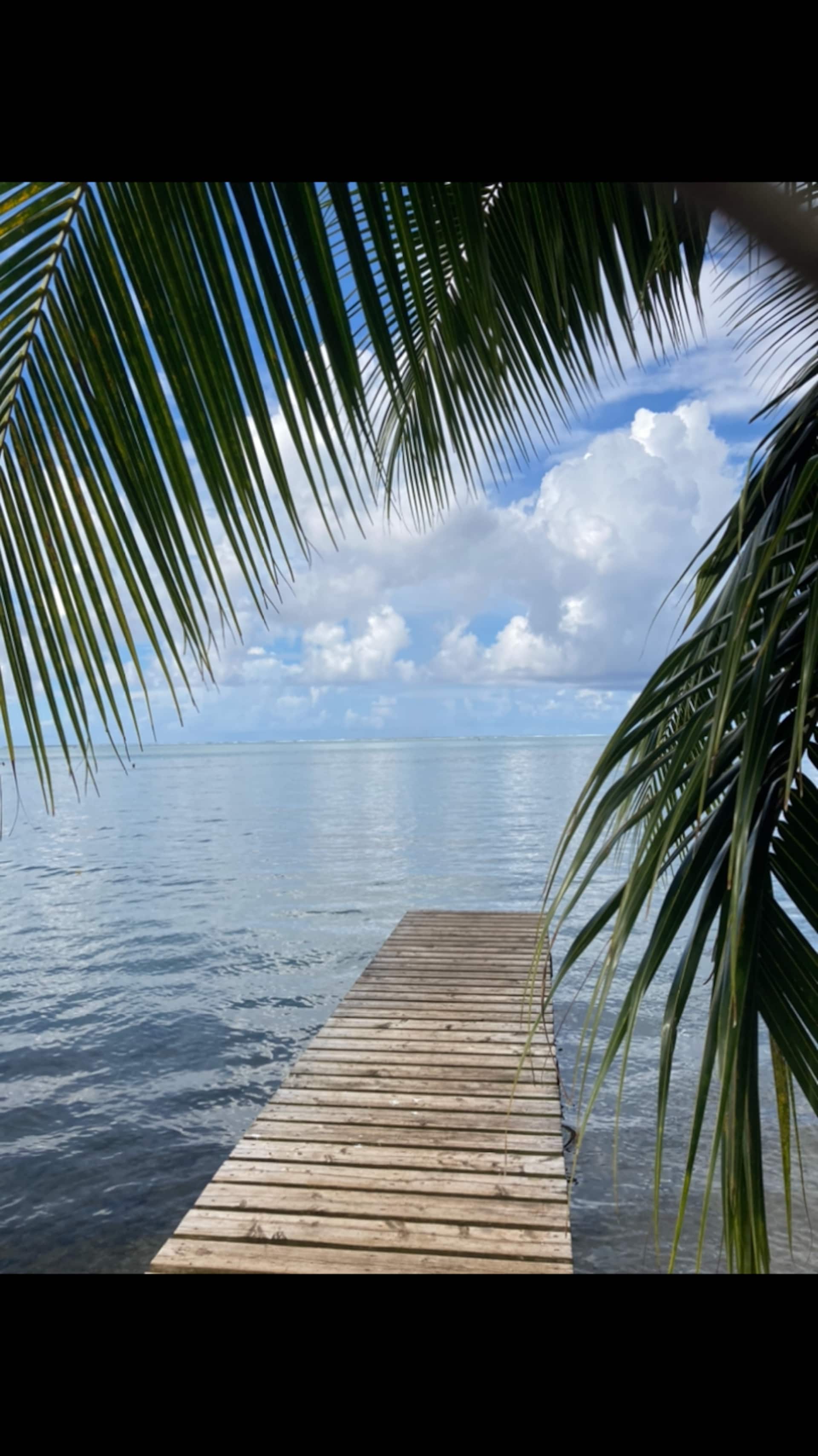 FARE CHEZ  MARIE LOU — photo 4