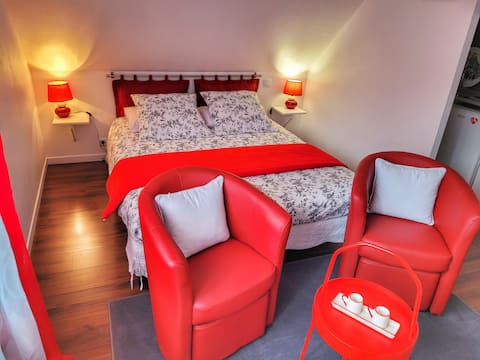 Successful Airbnb property: Red apartment classified ** in Riquewihr