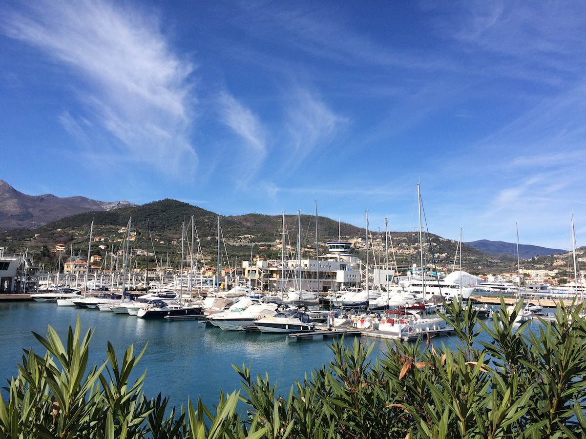 A scenic marina is seen filled with numerous yachts and sailboats, anchored in calm waters. The backdrop features gently rolling hills under a clear blue sky, with wispy clouds enhancing the tranquil atmosphere. Lush green plants frame the foreground, adding a touch of nature.