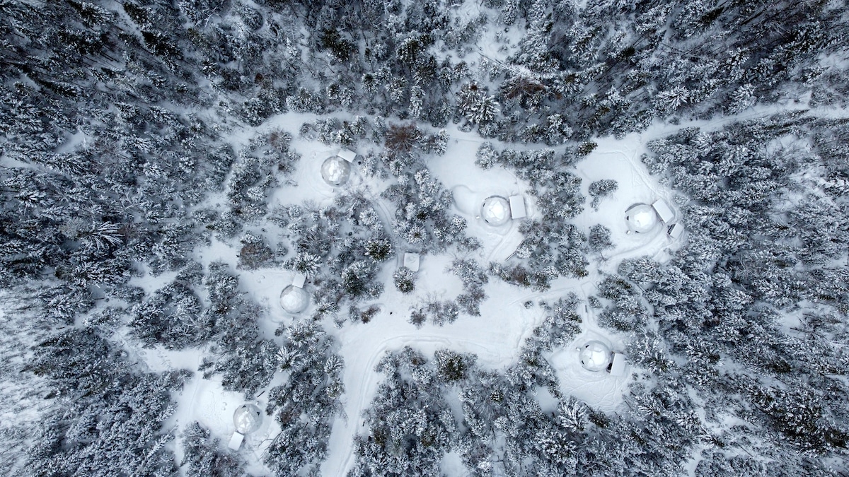 #4 · Near Montreal, Canada | Dome in the woods photo 3