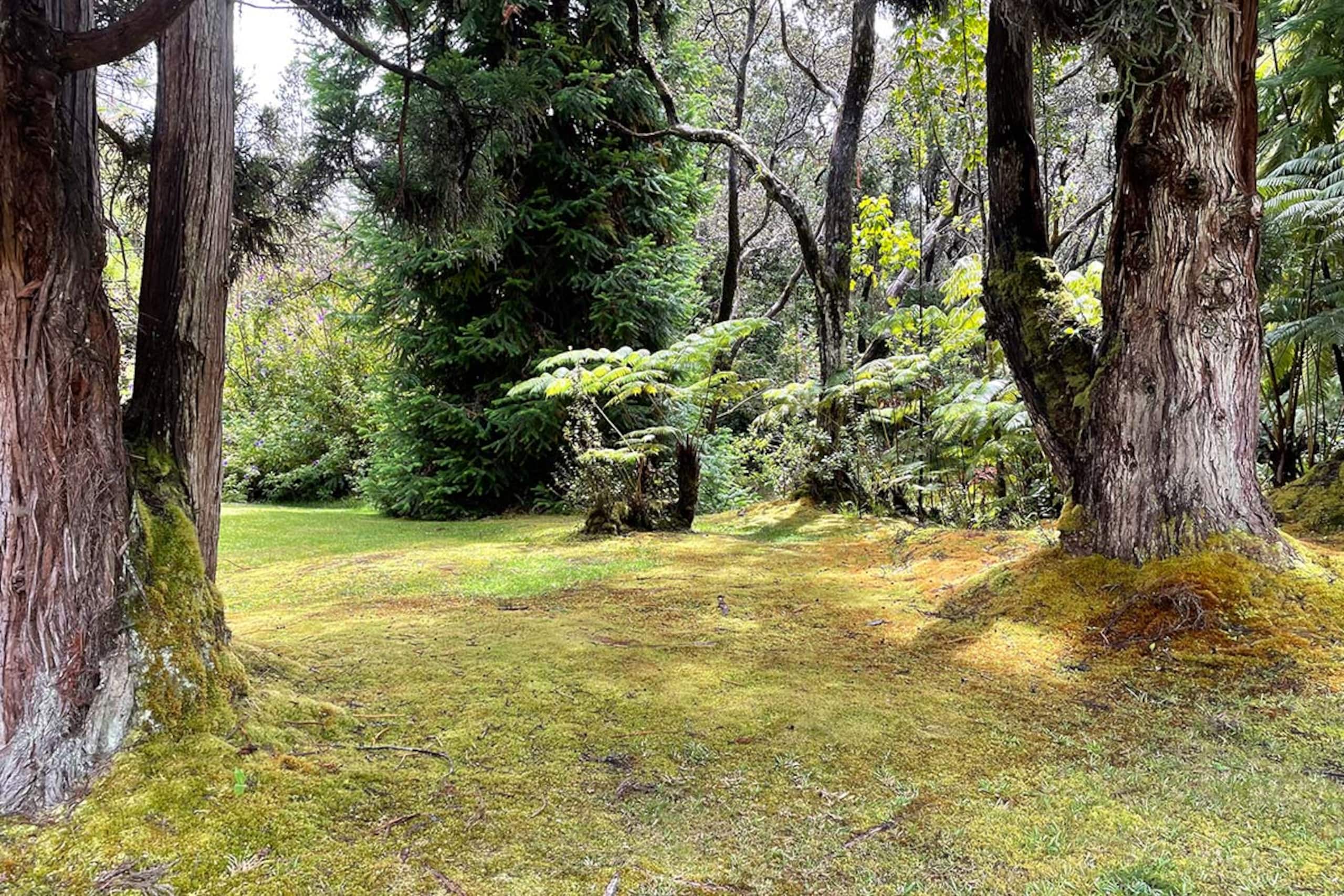 Volcano Family Cottage, 1 mile to Park - Image 12