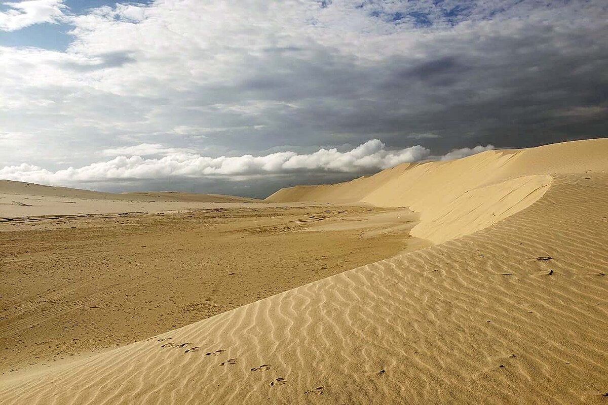 A vast expanse of golden sand dunes is displayed under a cloudy sky. The undulating surface of the dunes creates a textured pattern, where gentle ridges and valleys are visible. The horizon merges with a muted sky, hinting at an atmospheric landscape.
