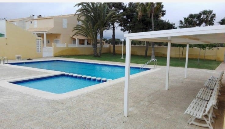A swimming pool is surrounded by a spacious patio, featuring lounge chairs arranged neatly along one side. Lush palm trees provide shade, while a grassy area is visible beyond the pool. A covered structure offers additional seating options near the water.