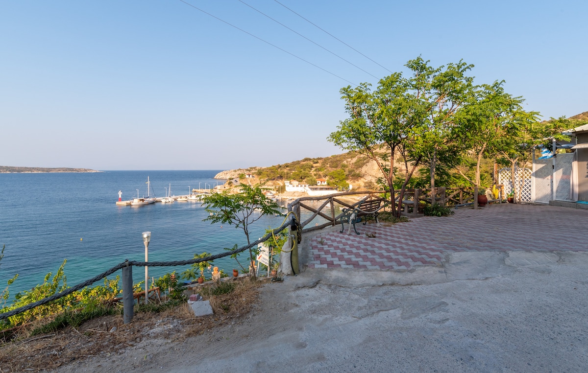 A scenic coastal view reveals a harbor lined with boats gently bobbing on calm waters. Lush greenery and trees frame the image, while a paved area with stone patterns leads towards the waterfront, inviting relaxation and contemplation of the serene landscape.