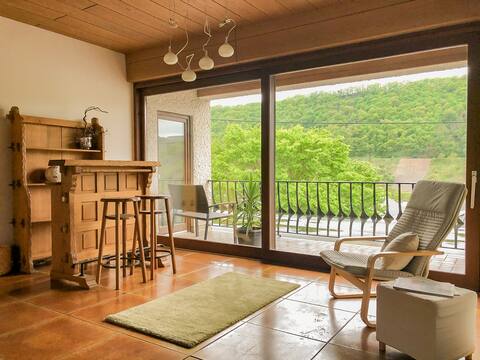 Beautiful large apartment overlooking the Mosel Valley