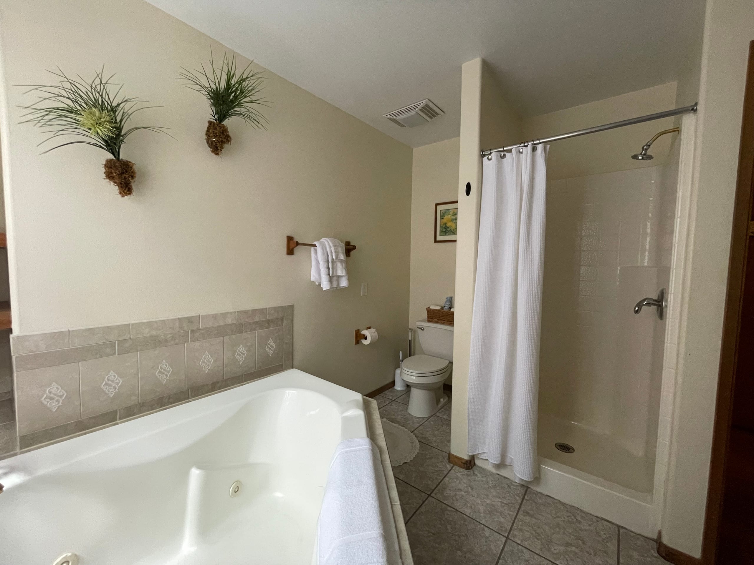 Guesthouse in Volcano · ★4.93 · 1 bedroom · 1 bed · 1 private bath - Image 4