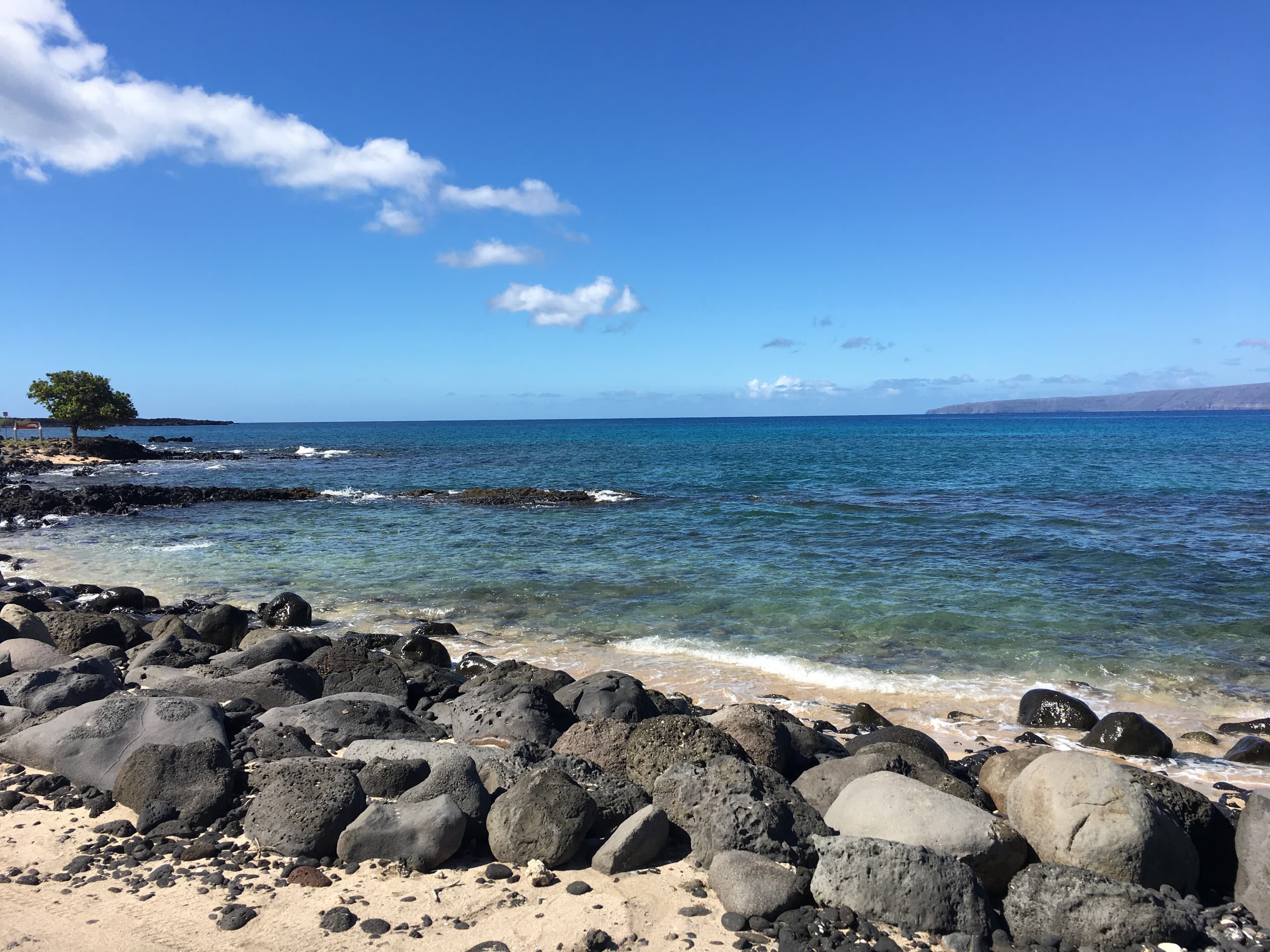 Condo in Kihei · ★4.89 · 1 bedroom · 3 beds · 2 baths - Image 8