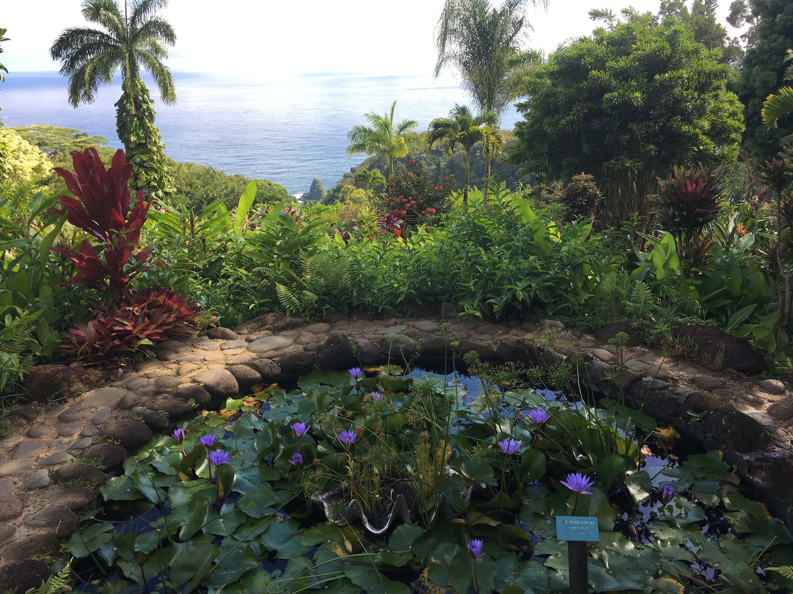 Condo in Kihei · ★4.89 · 1 bedroom · 3 beds · 2 baths - Image 13