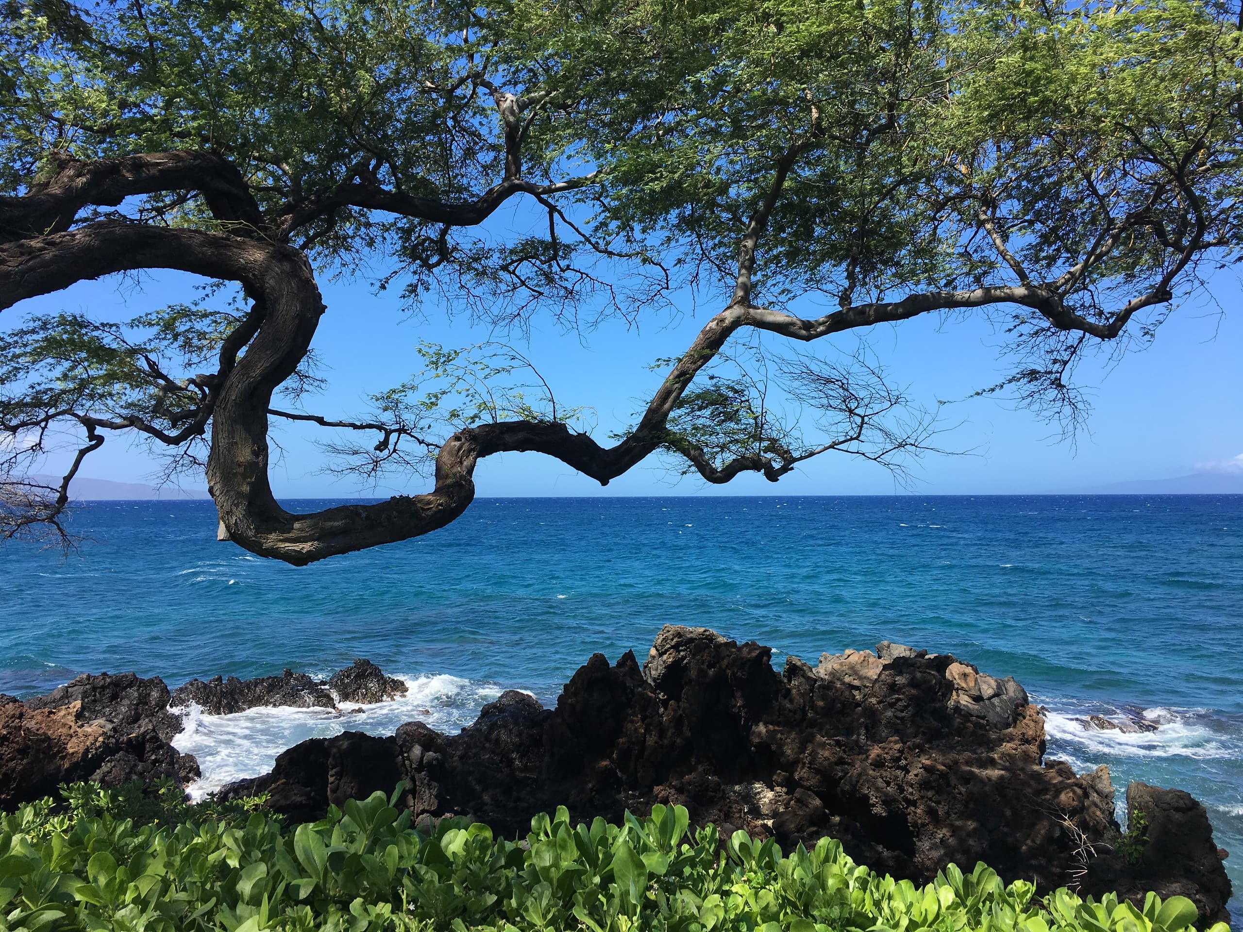 Condo in Kihei · ★4.89 · 1 bedroom · 3 beds · 2 baths - Image 22