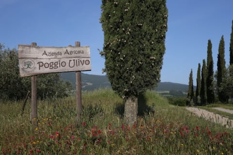Poggio Ulivo farm stay