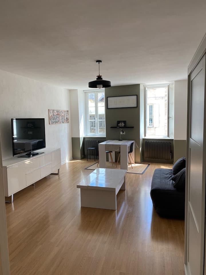 La Rochelle large 38m² studio Apartments for Rent in La Rochelle