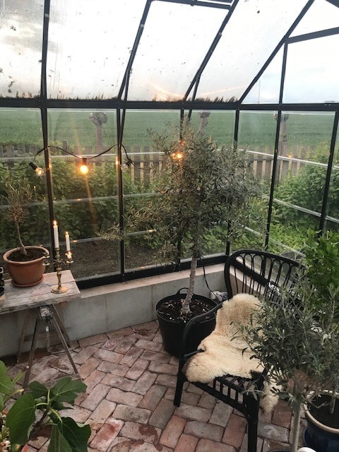 A greenhouse is featured with large glass panels that provide views of the surrounding greenery. Potted plants are arranged on terracotta bricks, while string lights and candles on a small table create a cozy ambiance. An olive tree and a black chair complete the serene space.