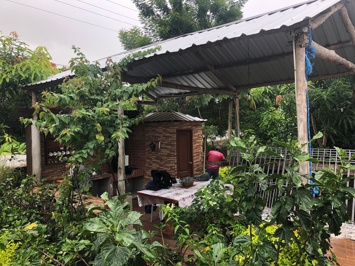 An outdoor dining area is surrounded by lush greenery, featuring a wooden table and various chairs. A rustic structure with a thatched roof is visible, along with appliances and garden elements. Vegetation includes vibrant plants and trees, contributing to a natural ambiance.