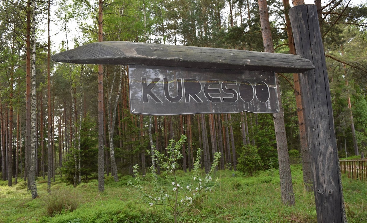 A wooden sign displaying the name 'Kuresoo' is positioned at the edge of a forest. Tall trees with green foliage surround the area, creating a natural setting. The ground is covered with lush greenery and low shrubs, enhancing the tranquil atmosphere.