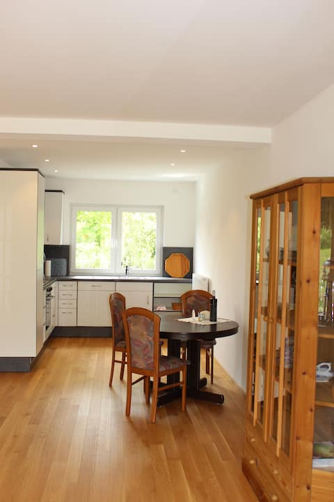 Modern apartment with terrace on Lake Sorpe