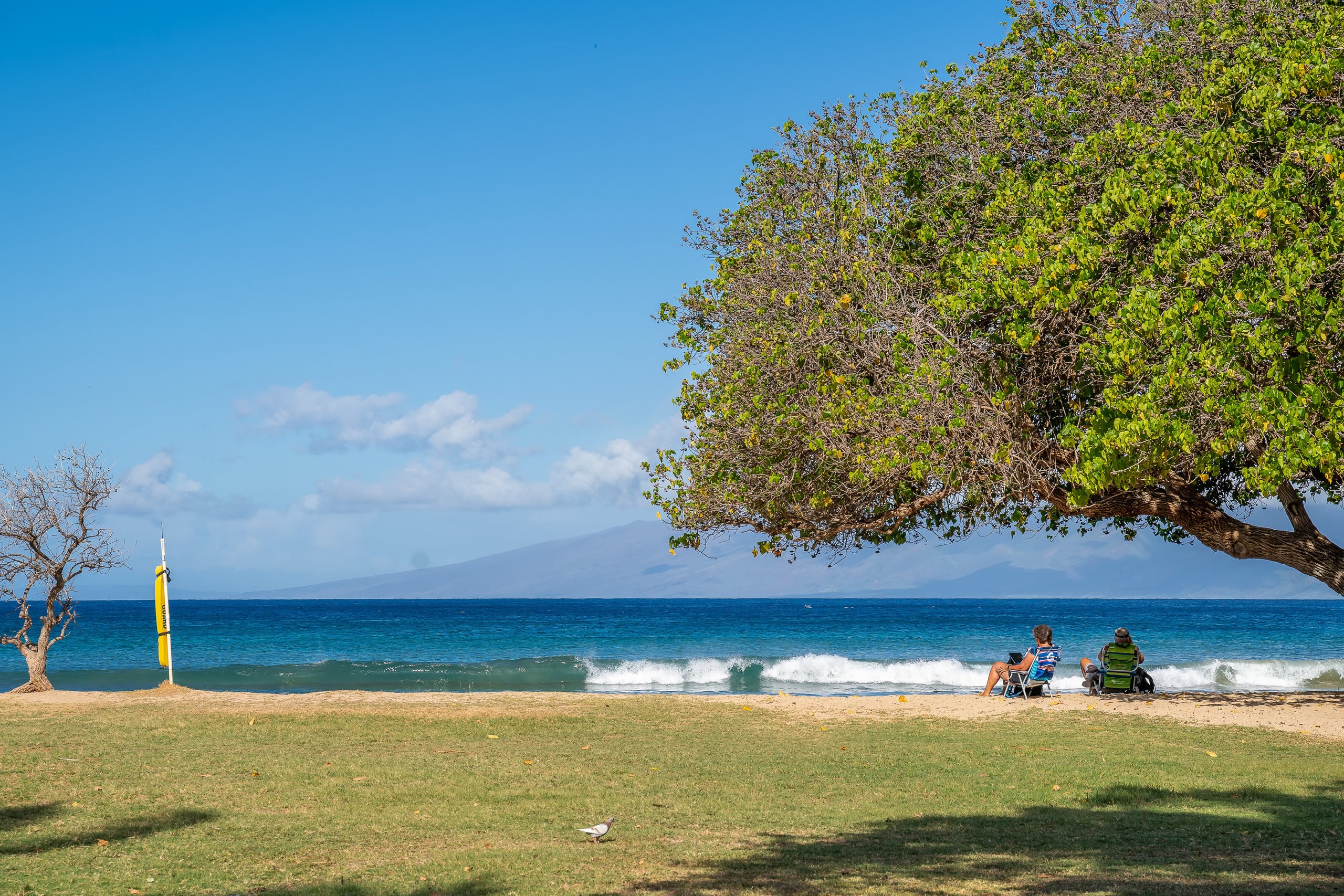 Condo in Lahaina · ★4.71 · 1 bedroom · 1 bed · 1 private bath - Image 28