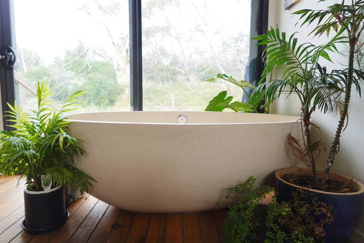 Beachside Family Surf Retreat gallery image 4