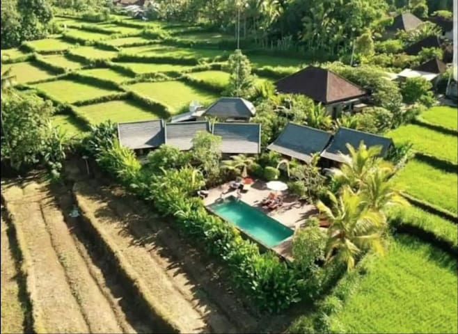 Amora Ubud Boutique Villas managed Airbnb listing 3
