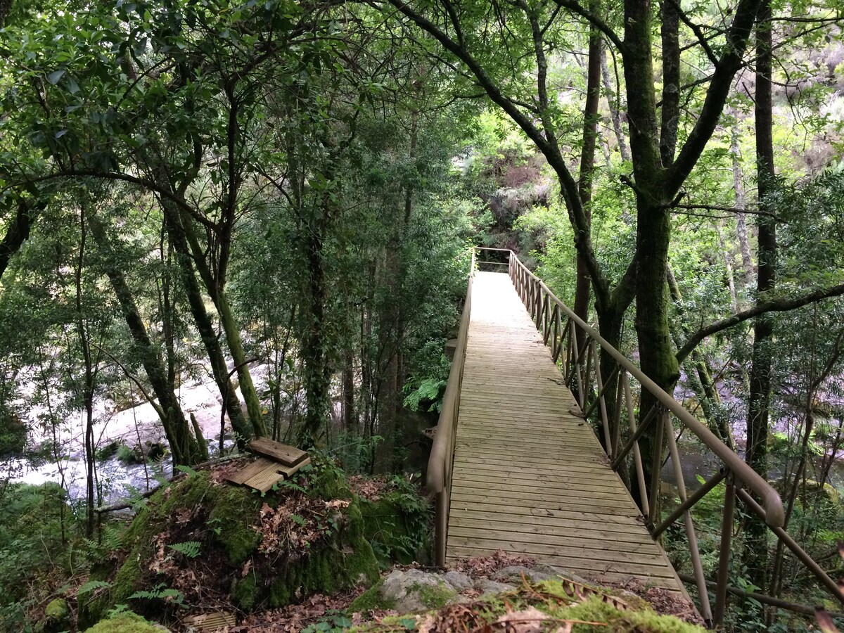 A wooden walkway is depicted, winding through a lush forest filled with greenery. Tall trees provide a natural canopy, while dappled sunlight filters through the leaves. The path leads towards a serene stream, inviting exploration and connection with the surrounding nature.