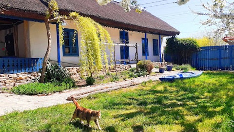 Traditional house in Danube Delta