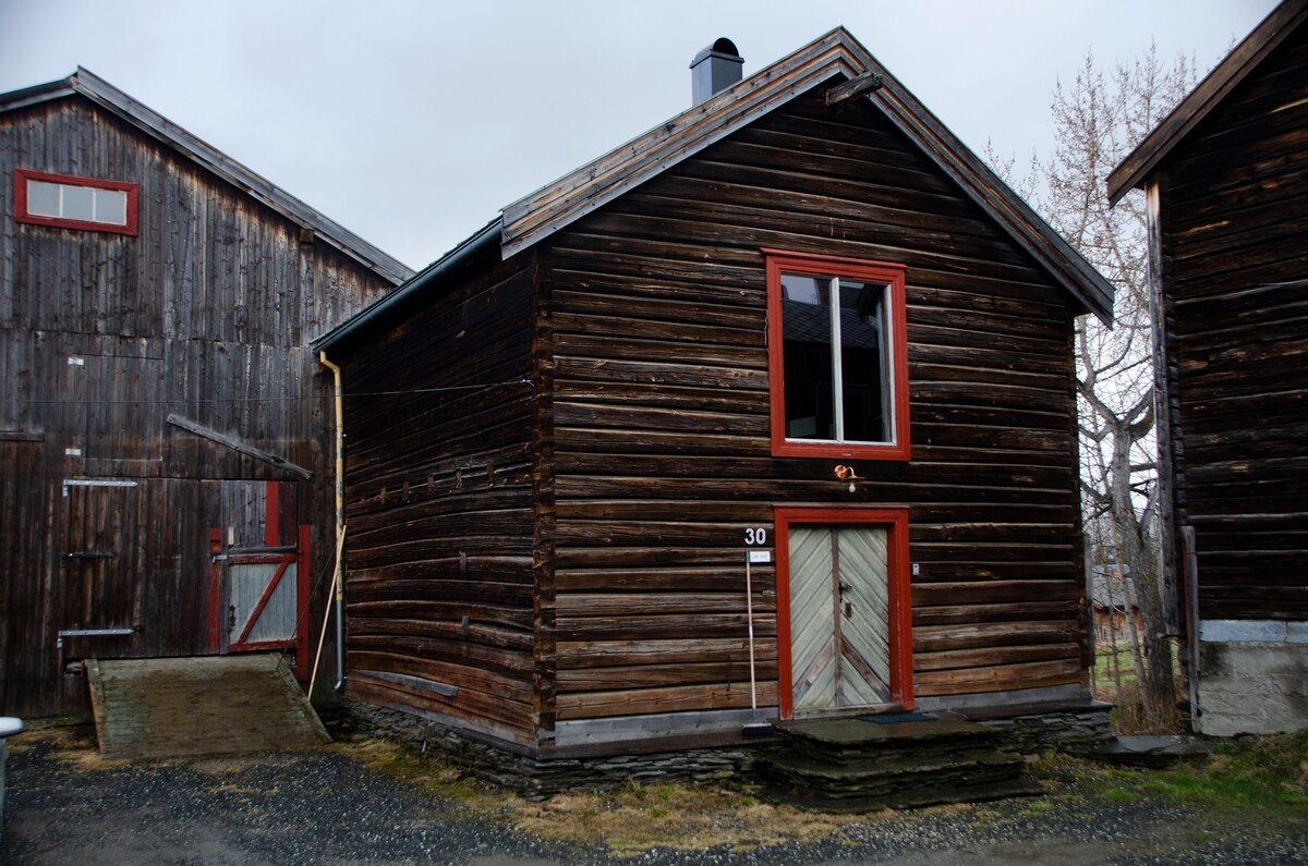 roros kiralik tatil evleri ve evler trondelag norvec airbnb