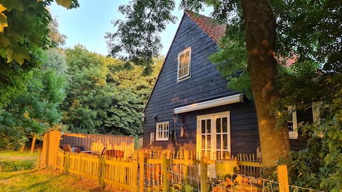 Successful Airbnb property: Seeking peace and quiet, choose "Koeterdekoet" in Alkmaar