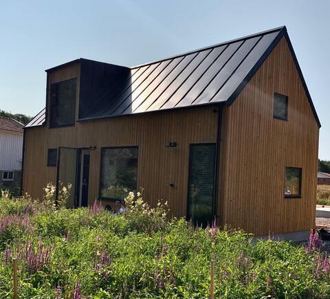 Newly built architect-designed cottage in green area.